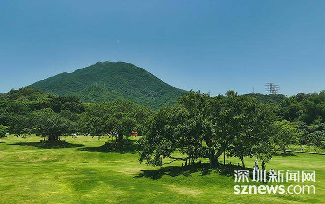 澳门天天开彩期期精准丨自贸区板块9月11日跌0.73%，济民健康领跌，主力资金净流出3.7亿元  第2张