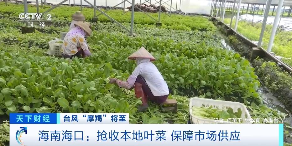 澳门内部最精准免费资料丨台风“贝碧嘉”过后，江苏全力恢复正常生产生活秩序