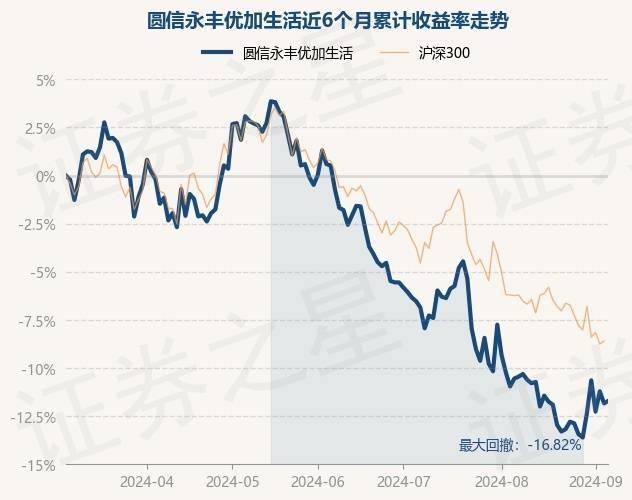 新澳门天天彩2024年全年资料丨首届“丰盛季节”城市生活嘉年华浓情启幕！快来打卡  第2张