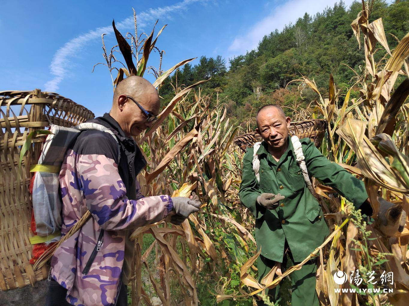 澳门正版资料大全资料生肖卡丨罗莱生活申请一种柔软涂料印花面料及其制备工艺专利，改善传统涂料印花面料手感不佳、透气性差、舒适度低的问题