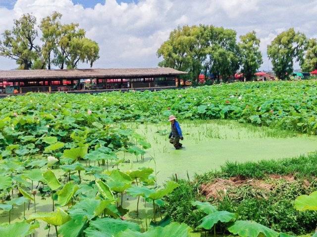 新澳精准资料免费提供网丨投洽会河北馆生活娱乐AI仿生机器人“小悟”受关注  第2张