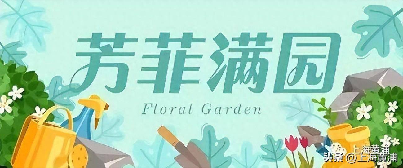 新澳最新最快资料新澳50期丨首届“丰盛季节”城市生活嘉年华浓情启幕！快来打卡