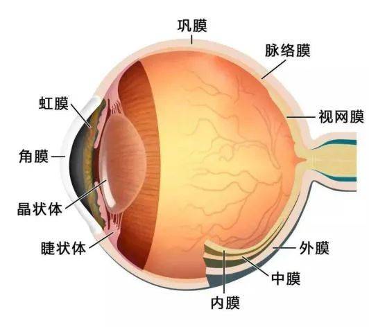 王中王免费资料大全料大全一精准丨中新健康丨国家肿瘤数据资源项目落地重庆  第1张