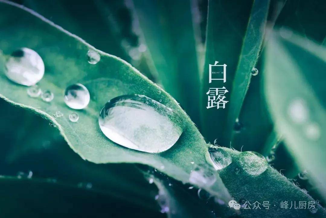 🌸澳门天天六开彩正版澳门🌸丨股票行情快报：荣泰健康（603579）9月10日主力资金净买入65.39万元