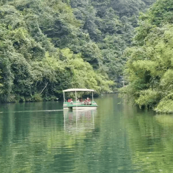 🌸澳门精准一肖一码一码配套成龙🌸丨外媒关注中非卫生健康合作：跨越千山万水，点亮希望之灯