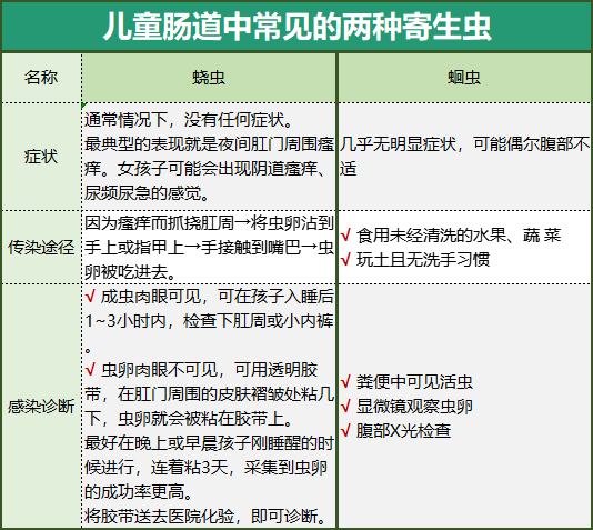 新澳资料免费大全丨假如生活欺负了你，你该怎么办？看看一只175岁乌龟的答案  第1张