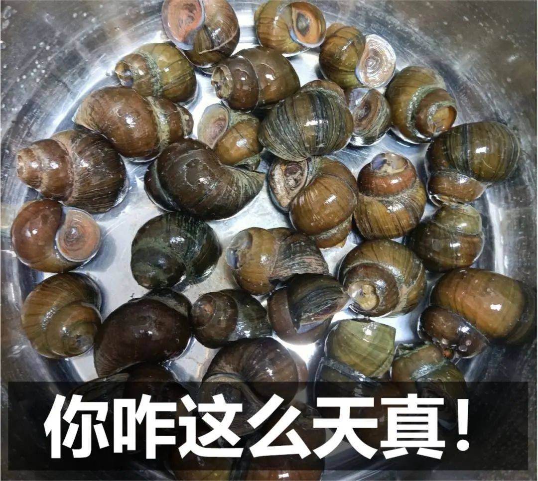 澳门一码一肖一待一中丨首届“丰盛季节”城市生活嘉年华浓情启幕！快来打卡  第1张