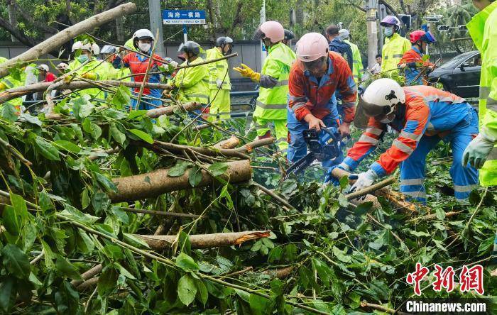 澳门管家婆一肖一码一中一丨城口：深入实施“小县大城”发展战略 建成“15分钟便民生活圈”