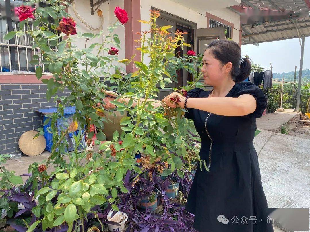 澳门正版资料免费大全新闻丨让生活更加美好！宝山又有3处多层住宅将加装电梯  第2张