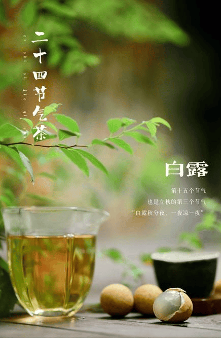 ✅管家婆精准一肖一码100%l?✅丨9月5日基金净值：华安精致生活混合A最新净值1.1581  第2张