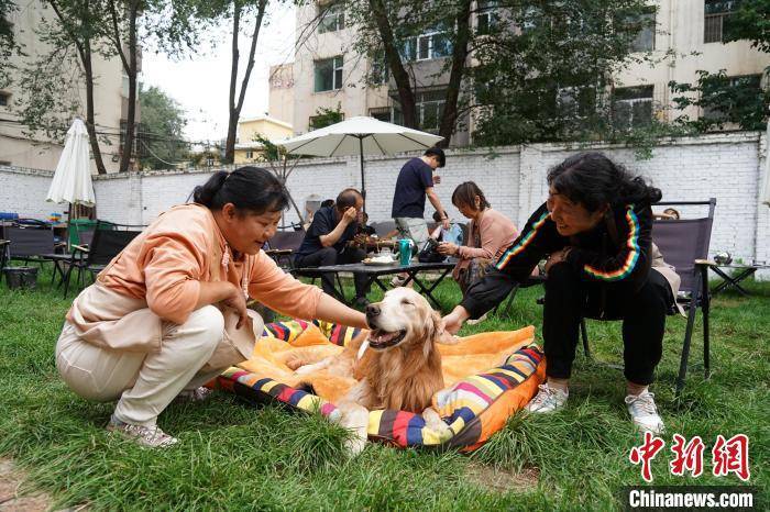 澳门天天开彩期期精准丨广东南洋定制家居：为您的生活增添一份优雅  第1张