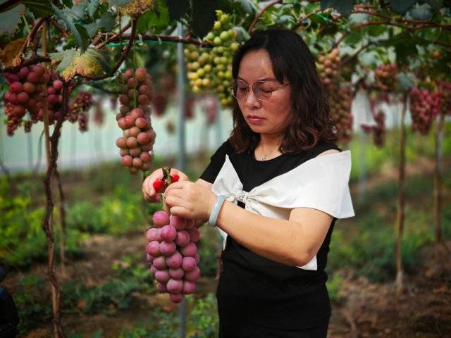 澳门六开彩天天开奖结果丨桂林打造城市一刻钟便民生活圈激发消费新活力  第2张