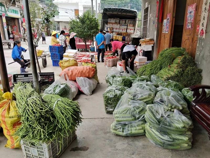 澳门正版资料大全资料生肖卡丨首届“丰盛季节”城市生活嘉年华浓情启幕！快来打卡  第1张