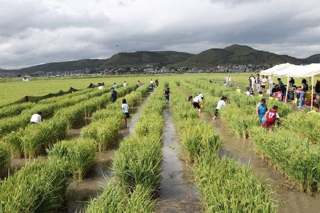 新澳天天开奖资料大全丨生活中的5个小习惯，正在悄悄伤害你的肌肉！  第2张