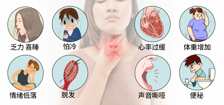 新奥管家婆免费资料官方丨平安医疗健康混合C近一周下跌0.47%  第2张