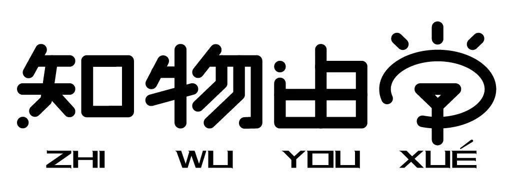 ✅新奥天天免费资料单双✅丨华安幸福生活混合C连续3个交易日下跌，区间累计跌幅2.02%