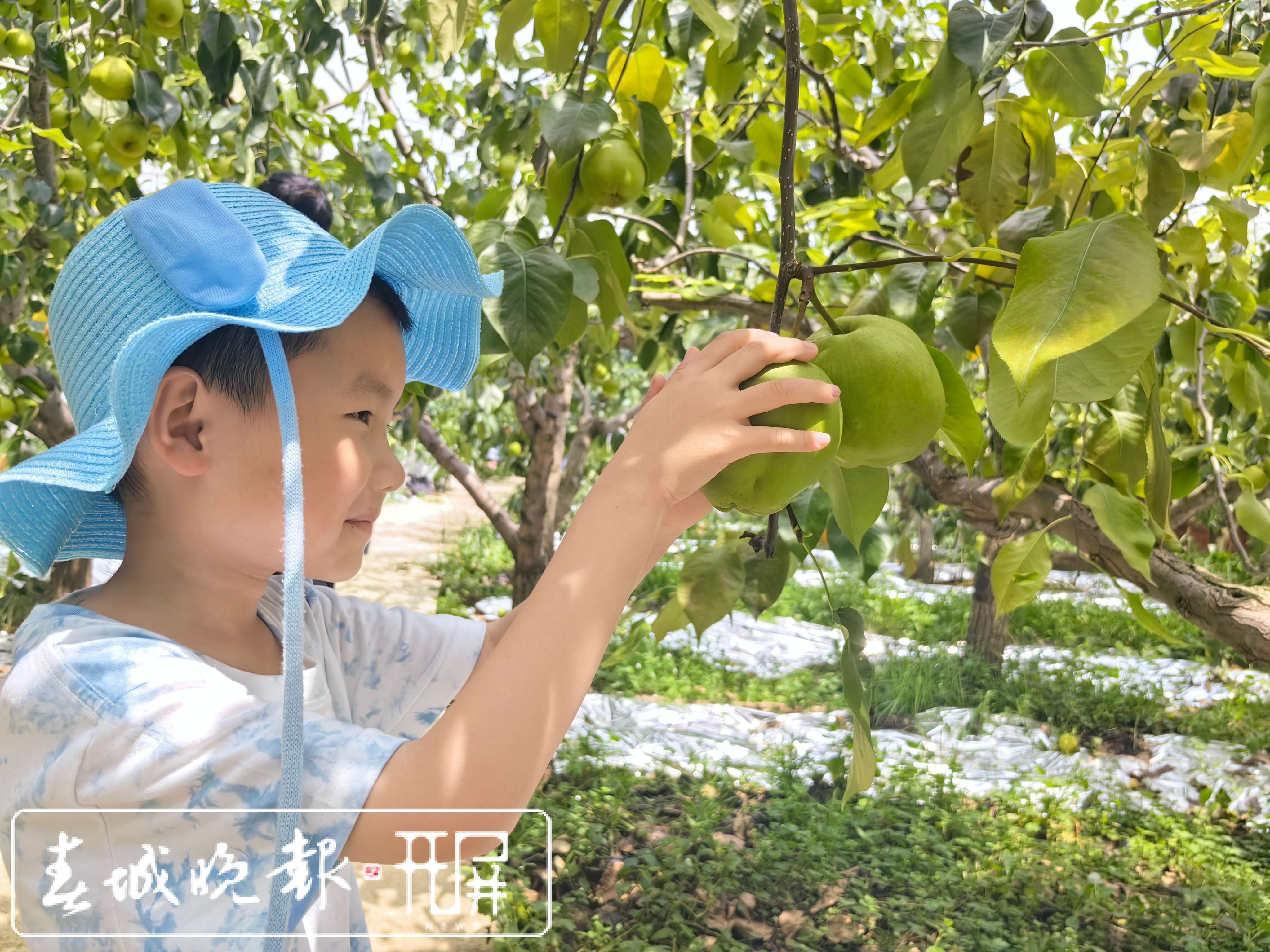 澳门一肖中100%期期准丨首届“丰盛季节”城市生活嘉年华浓情启幕！快来打卡