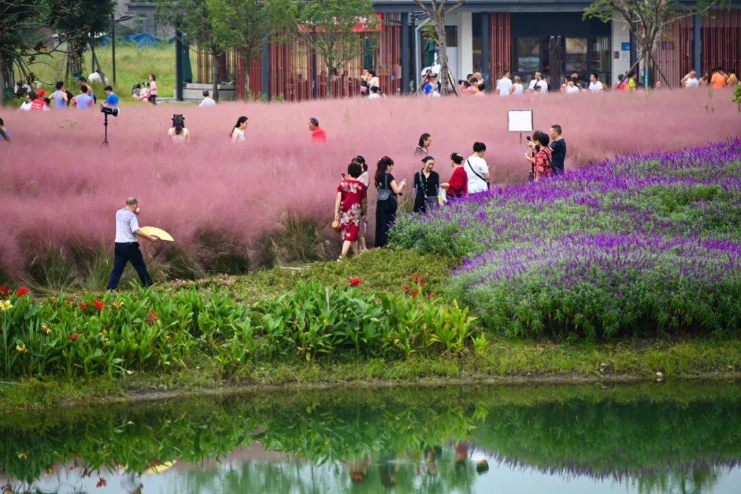 澳门最精准免费资料大全旅游团丨易生活控股（00223.HK）9月5日收盘涨1.19%