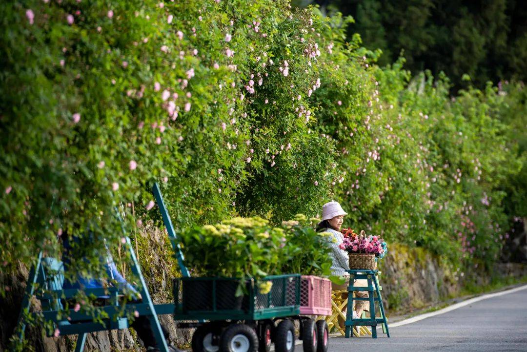 今晚一肖一码澳门一肖四不像丨抖音本地生活上线超值券膨胀活动|新榜情报