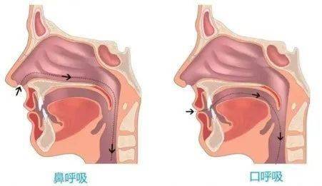 7777788888一肖一码丨特朗普急了，华为三折叠被疯抢，不吃主食能健康？这周你搜狐号了吗？  第1张