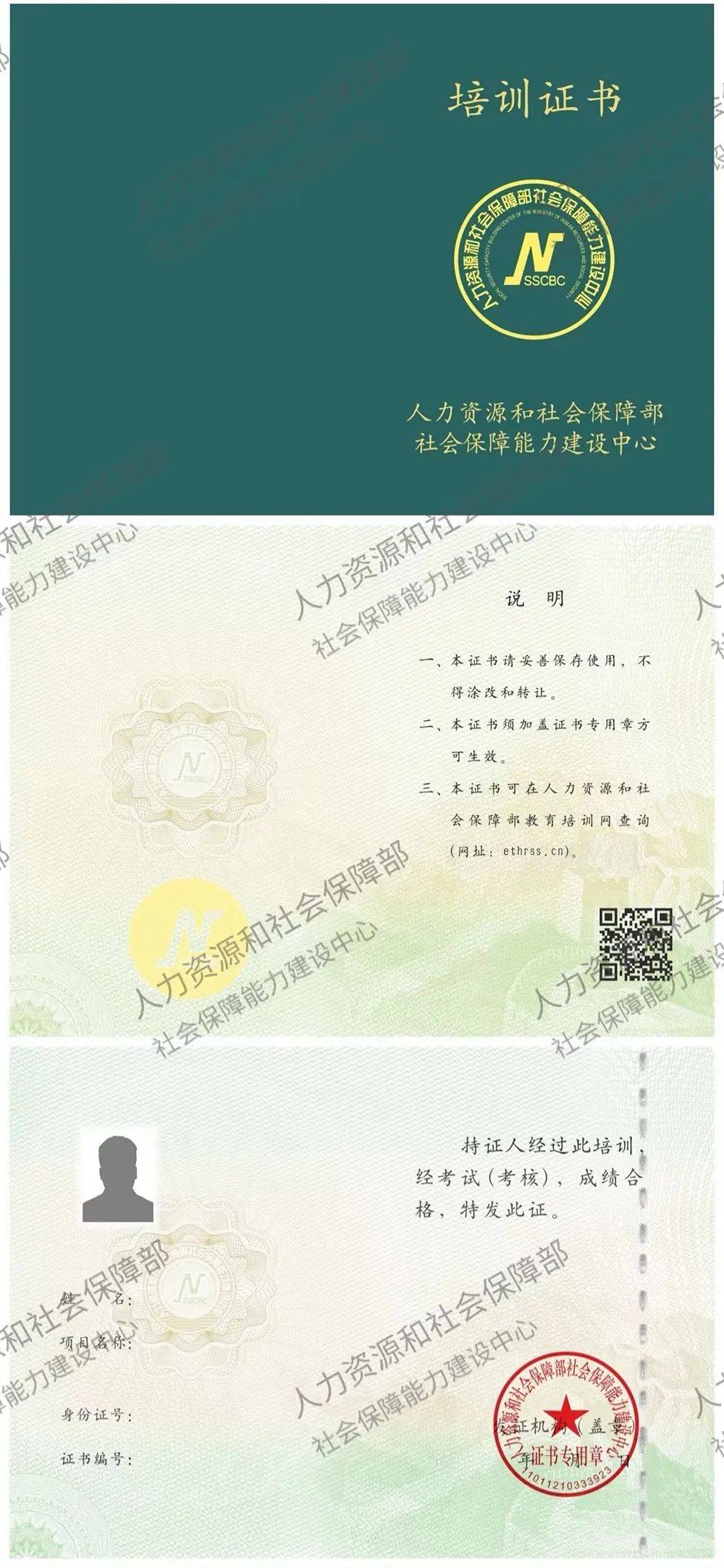 新澳门黄大仙8码大公开丨美瑞健康国际（02327.HK）9月5日收盘涨2.78%  第1张