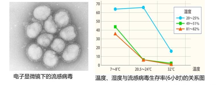 澳门最精准免费资料大全旅游团丨“十佳医师”说口腔健康