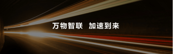 白小姐一码一肖中特1肖丨政治化的社会里，“普通的生活”还在继续吗？｜一周荐书