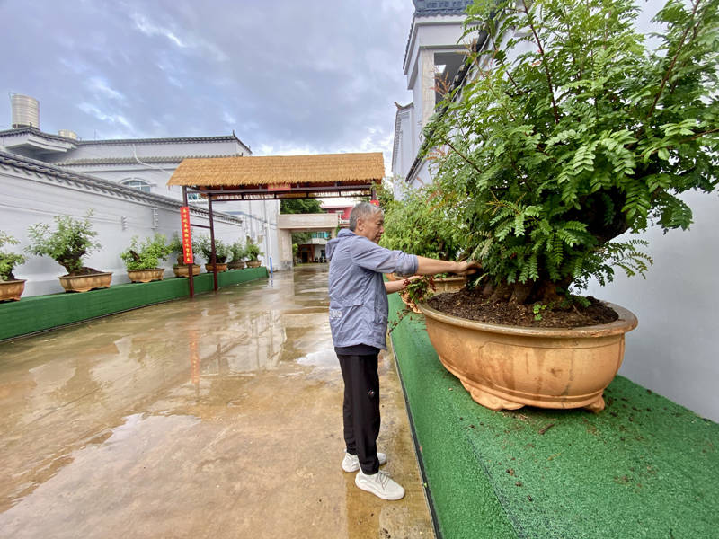 新澳资料免费大全丨首届“丰盛季节”城市生活嘉年华浓情启幕！快来打卡