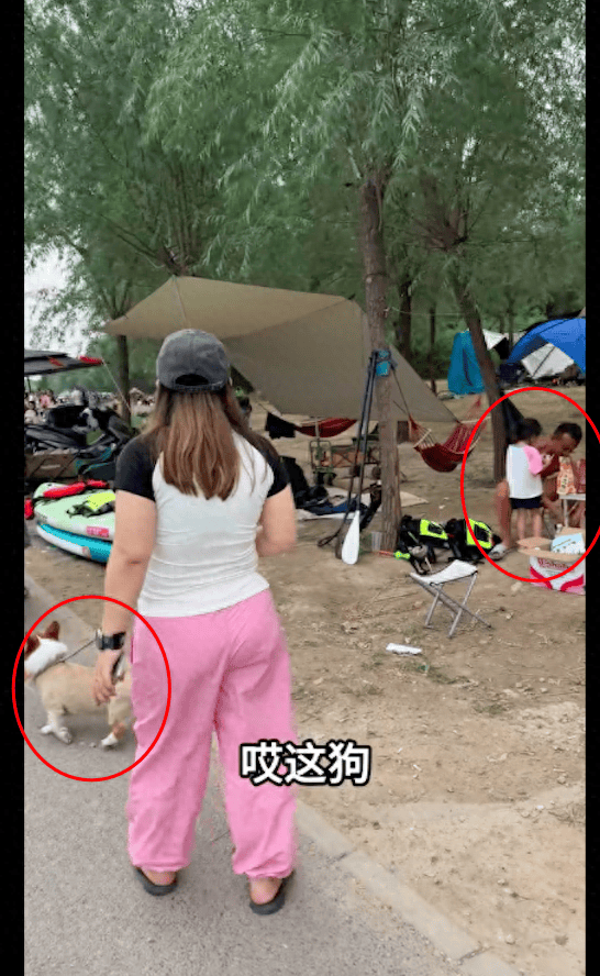 管家婆2024资料精准大全丨当心！这些舒服坐姿可能正在“蚕食”你的健康