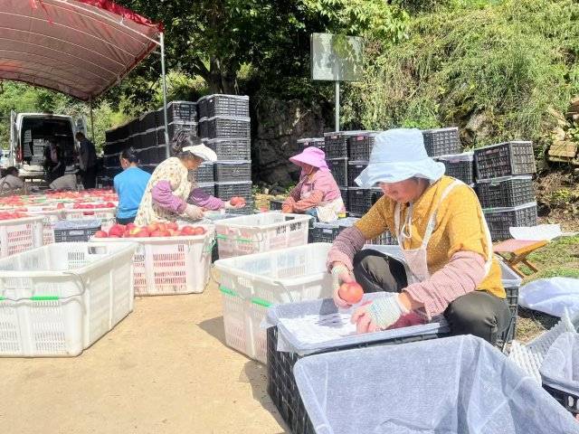 管家婆精准资料免费大全丨让生活更加美好！宝山又有3处多层住宅将加装电梯