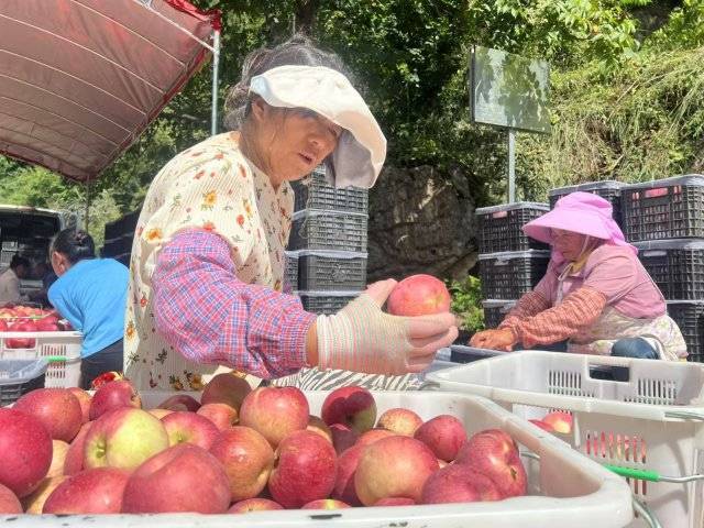 澳门管家婆一肖一码一中一丨罗莱生活申请一种柔软涂料印花面料及其制备工艺专利，改善传统涂料印花面料手感不佳、透气性差、舒适度低的问题