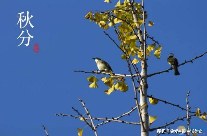 澳门一肖一码一必开一肖丨预防出生缺陷 守护生命起点健康