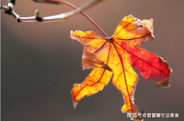 澳门天天开彩期期精准丨烟台卫生健康职业学院首迎新生，萌娃准备零食大礼包来“送新”  第1张