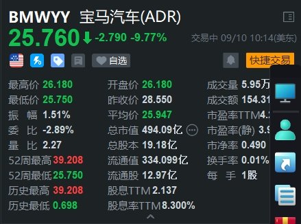 宝马汽车大跌近10% 下调2024年利润率  第1张