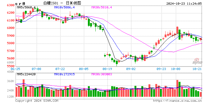 光大期货软商品类日报10.23