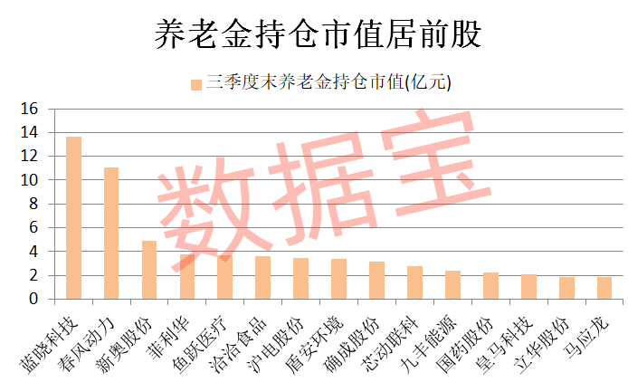 养老金长期看好股竟是它！加仓迹象明显，滞涨股揭晓，5只具备国资背景