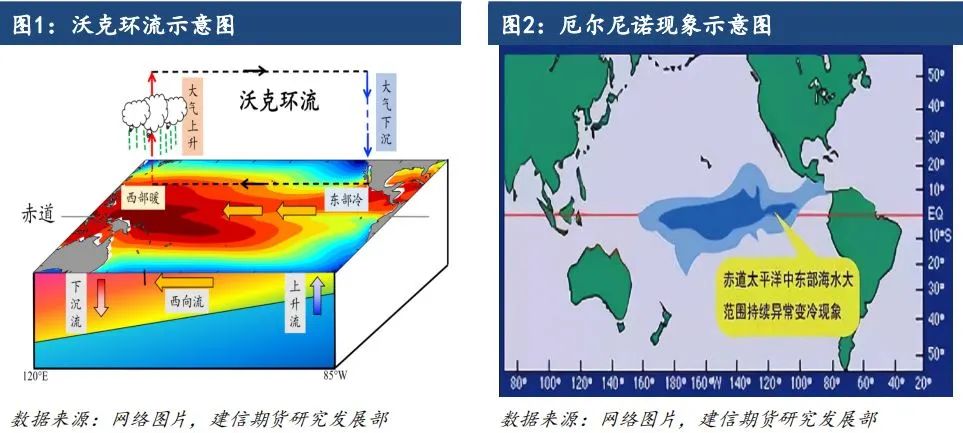 【专题报告】拉尼娜对全球棉花产量的影响  第3张