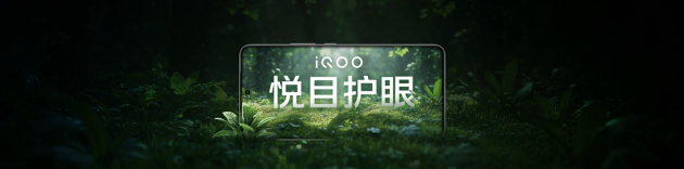 3999元起 iQOO 13性能之光闪耀电竞新纪元  第8张