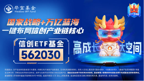 信创ETF基金（562030）暴拉6%，标的指数成份股全线上涨！赢时胜20CM涨停，恒生电子10CM封板  第2张