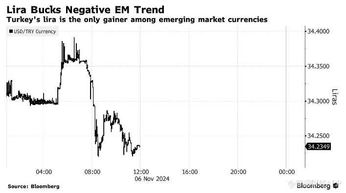 特朗普胜选引爆汇市 土耳其里拉成避风港  第1张