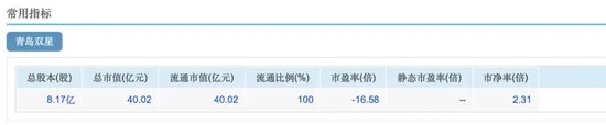 “砸锅卖铁”并购锦湖轮胎，青岛双星能否走出亏损泥潭？  第2张