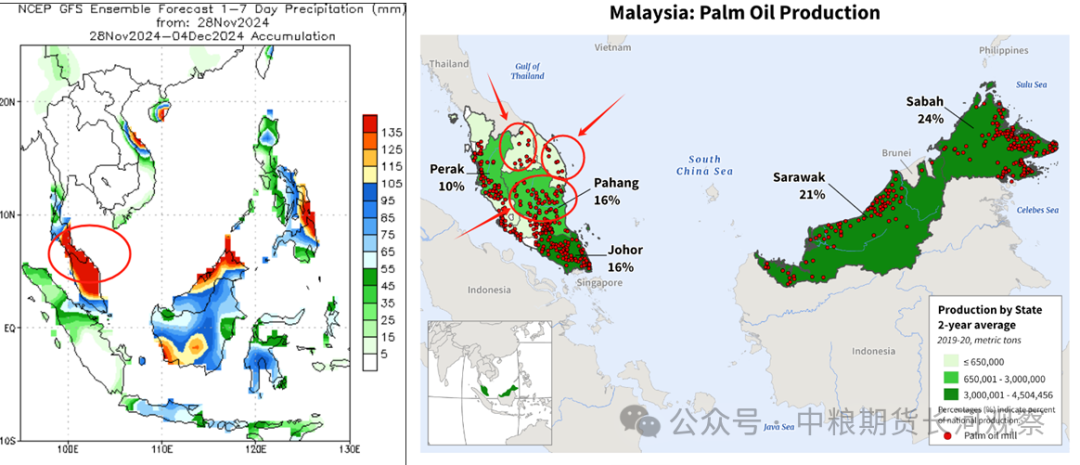 马来洪水担忧，棕榈油强劲反弹  第4张